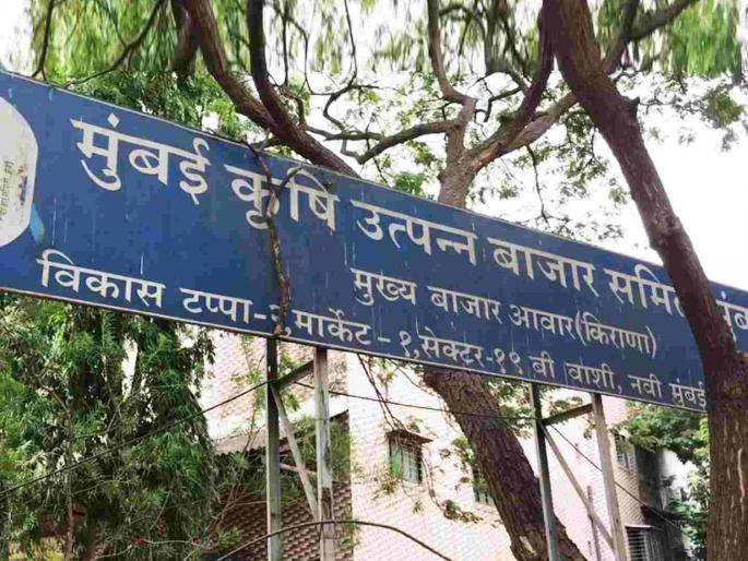 23 years of tax evasion experiment in APMC fruit market, no action on inquiry committee report | एपीएमसी फळ बाजारात २३ वर्षे करचोरीचा प्रयोग, चौकशी समितीच्या अहवालावर कार्यवाही नाही 23 years of tax evasion experiment in APMC fruit market, no action on inquiry committee report | एपीएमसी फळ बाजारात २३ वर्षे करचोरीचा प्रयोग, चौकशी समितीच्या अहवालावर कार्यवाही नाही