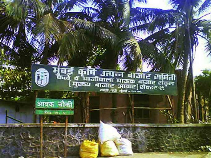 Voting for Mumbai Market Committee elections | मुंबई बाजार समिती निवडणुकीसाठी मतदान Voting for Mumbai Market Committee elections | मुंबई बाजार समिती निवडणुकीसाठी मतदान