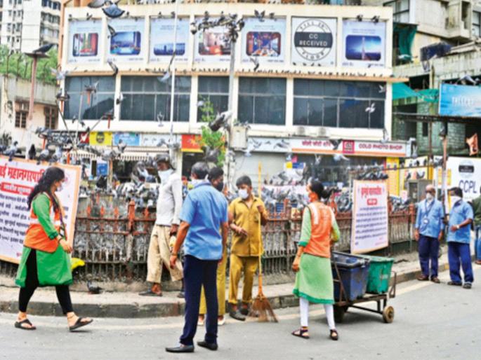Pigeons being fed seeds; First case registered in Mumbai | कबुतरांना दाणे; मुंबईत पहिला गुन्हा दाखल Pigeons being fed seeds; First case registered in Mumbai | कबुतरांना दाणे; मुंबईत पहिला गुन्हा दाखल