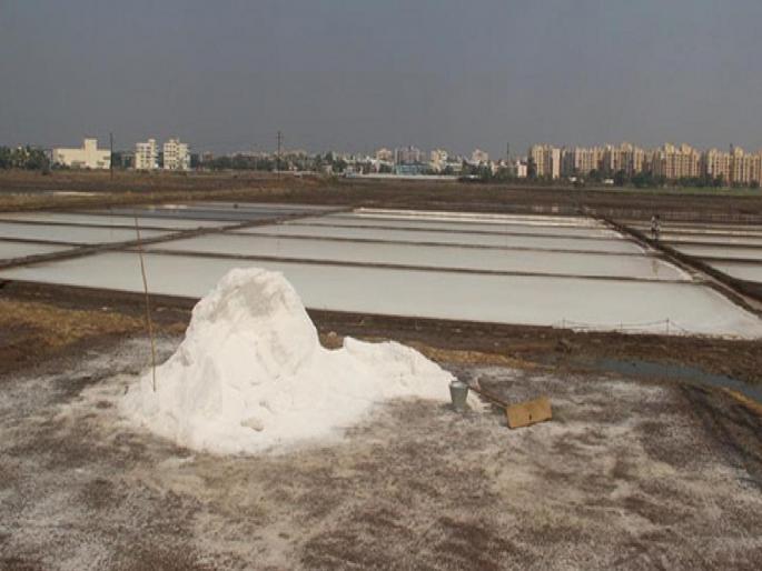 in mumbai eastern suburbs threatened if buildings are constructed on mithagaras environmental experts point out oppose giving space for rehabilitation | मिठागरांवर इमारतींची बांधकामे झाल्यास पूर्व उपनगराला धोका; पर्यावरण तज्ज्ञांनी वेधले लक्ष in mumbai eastern suburbs threatened if buildings are constructed on mithagaras environmental experts point out oppose giving space for rehabilitation | मिठागरांवर इमारतींची बांधकामे झाल्यास पूर्व उपनगराला धोका; पर्यावरण तज्ज्ञांनी वेधले लक्ष
