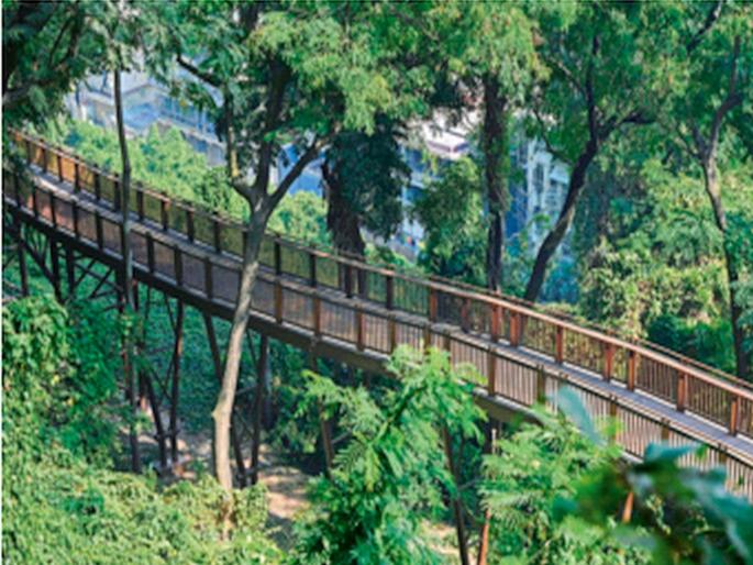 Mumbai's first 'elevated forest walkway' still awaited; project not yet in completion stage | मुंबईतील पहिल्या ‘एलिव्हेटेड फॉरेस्ट वॉकवे’ची प्रतीक्षाच; अद्यापही प्रकल्पपूर्ती टप्प्यात नाही