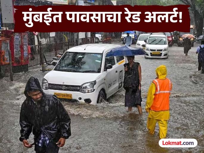 Mumbai Meteorological Department has issued a red alert for heavy rain for Sunday | Mumbai Rain: मुंबईत उद्या अतिवृष्टीचा इशारा; कामाशिवाय घराबाहेर पडू नका, BMC च्या सूचना