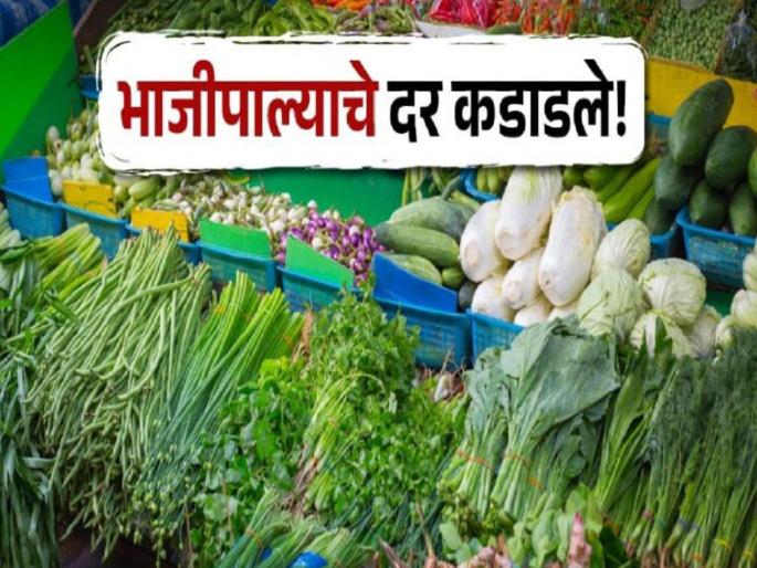 in mumbai the price of vegetables has been increased in pitrupaksha also increased demand and supply shortage | चवळी, गवार १२०, तर पडवळ २०० वर; पितृपक्षात भाज्यांचे दर कडाडले in mumbai the price of vegetables has been increased in pitrupaksha also increased demand and supply shortage | चवळी, गवार १२०, तर पडवळ २०० वर; पितृपक्षात भाज्यांचे दर कडाडले