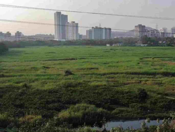 Mumbai number one in land sales 10 acres of land in Andheri sold for 11 thousand crores | भूखंड विक्रीत मुंबई नंबर वन! ११ हजार कोटींना अंधेरीतील १० एकर जागा विकली Mumbai number one in land sales 10 acres of land in Andheri sold for 11 thousand crores | भूखंड विक्रीत मुंबई नंबर वन! ११ हजार कोटींना अंधेरीतील १० एकर जागा विकली