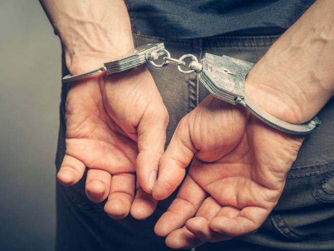 Park supervisor arrested in connection with sibling's death | भावंडांच्या मृत्यूप्रकरणी उद्यान सुपरवायझरला अटक, माटुंगा पोलीस तपास करणार