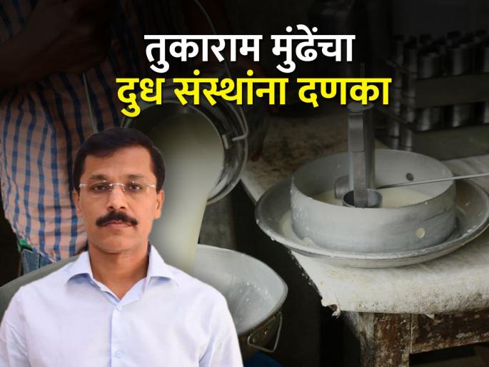 Action against milk collecting organizations who less than fifty liters | पन्नास लिटरपेक्षा कमी दूध संकलनाच्या संस्थांवर होणार कारवाई Action against milk collecting organizations who less than fifty liters | पन्नास लिटरपेक्षा कमी दूध संकलनाच्या संस्थांवर होणार कारवाई
