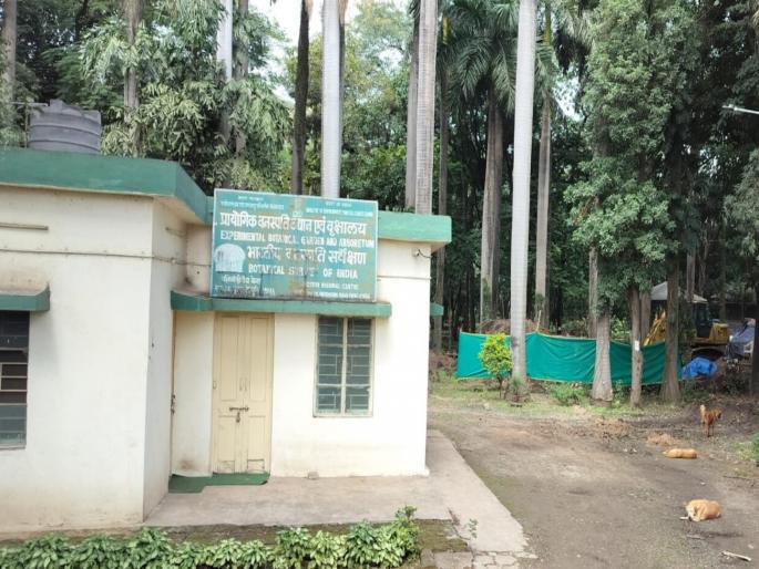 Suryakant Yewle and Ravindra Taru in Mundhwa scam to be dismissed directly without investigation | मुंढवा गैरव्यवहारातील सूर्यकांत येवले आणि रवींद्र तारू यांची चौकशी न करता थेट बडतर्फ करण्यात येणार Suryakant Yewle and Ravindra Taru in Mundhwa scam to be dismissed directly without investigation | मुंढवा गैरव्यवहारातील सूर्यकांत येवले आणि रवींद्र तारू यांची चौकशी न करता थेट बडतर्फ करण्यात येणार