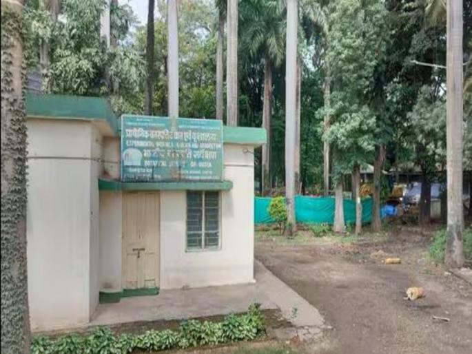 Hearing in Mundhwa land scam case postponed, next date to be decided soon | मुंढवा जमीन गैरव्यवहारप्रकरणी सुनावणी पुढे ढकलली, पुढील तारीख लवकरच निश्चित होणार Hearing in Mundhwa land scam case postponed, next date to be decided soon | मुंढवा जमीन गैरव्यवहारप्रकरणी सुनावणी पुढे ढकलली, पुढील तारीख लवकरच निश्चित होणार