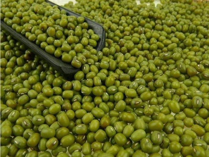 Mung price increase in the sowing season | पेरणीच्या तोंडावर मुगाच्या दरात वाढ Mung price increase in the sowing season | पेरणीच्या तोंडावर मुगाच्या दरात वाढ
