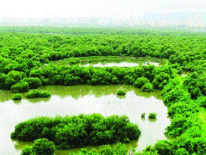 Misleading report about trips | तिवरांबाबतचा अहवाल दिशाभूल करणारा Misleading report about trips | तिवरांबाबतचा अहवाल दिशाभूल करणारा