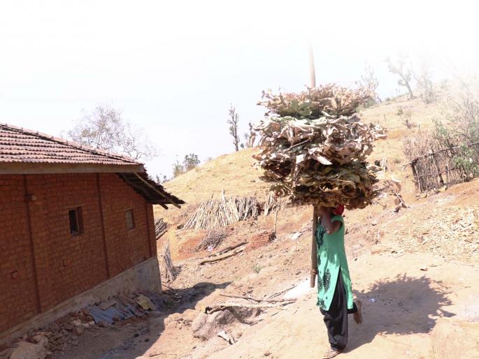 tribal girls with no education & malnutrition is it co related? | गरीबीच्या दावणीला बांधलेले आईबाप मुलींना कुपोषणाच्या दुष्टचक्रात ढकलतात, तेव्हा..