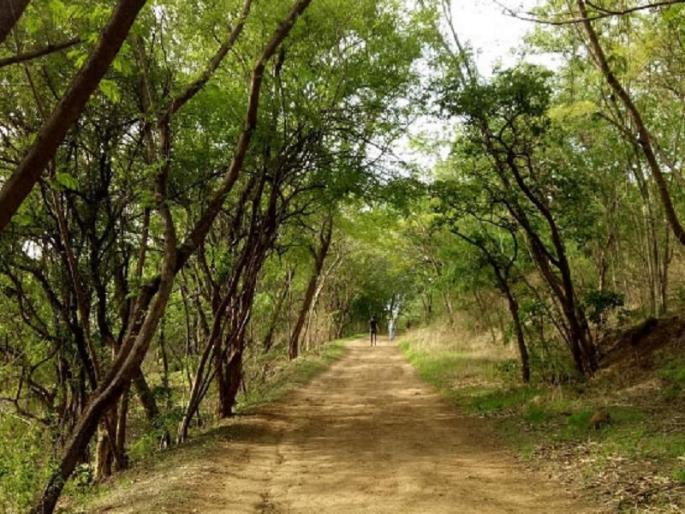 Pune: Hill murder solved after three and a half years, youth arrested | Pune: पर्वतीवर झालेल्या खुनाचा साडेतीन वर्षांनंतर उलगडा, तरुणास अटक