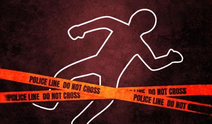 Uncle killed his nephew in an agricultural dispute in Bhandara district | भंडारा जिल्ह्यात शेतीच्या वादात काकाने केला पुतण्याचा खून