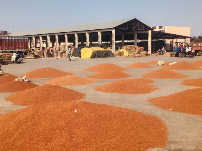 Adte, merchant coronated; Purtijapur Bazar Samiti purchase closed | अडते, व्यापारी कोरोनाबाधित; मूर्तिजापूर बाजार समितीची खरेदी ठप्प