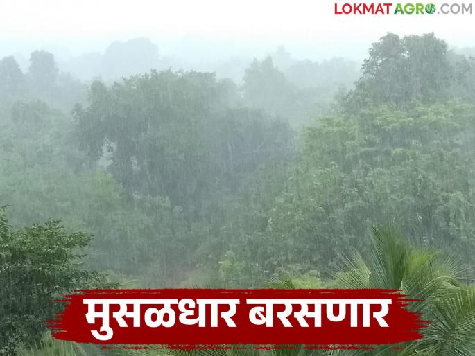 A low pressure area is forming; Heavy rains will occur in this area of the state for the next two days | तयार होतोय कमी दाबाचा पट्टा; राज्यात पुढील दोन दिवस या भागात मुसळधार पाऊस होणार
