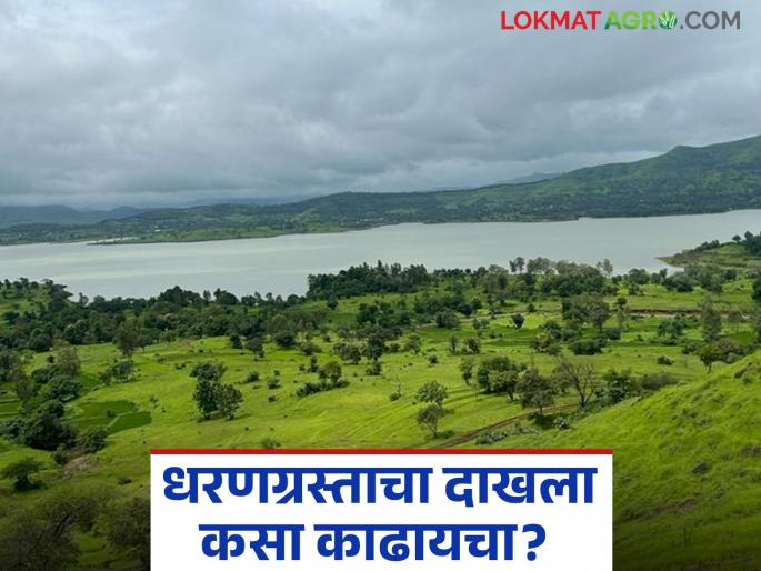 Latest news Dharangrasta Dakhala How to get dam victim certificate project affected certificate Read in detail | तुमची जमीन धरणात गेल्यास धरणग्रस्ताचा दाखला कसा काढायचा? वाचा सविस्तर 