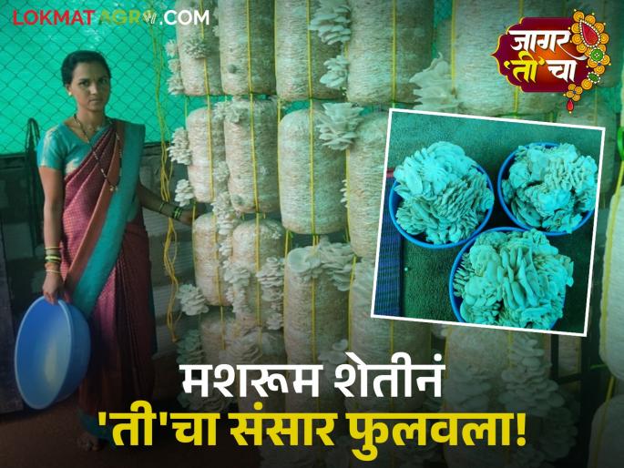 Latest News navratri special women farmer success story successfull Mushroom Farming vaishali udar from nashik | Mushroom Farming : शिक्षण केवळ नववीपर्यंत, मशरूम शेतीनं नावारूपाला आणलं, वैशाली उदार यांची यशोगाथा