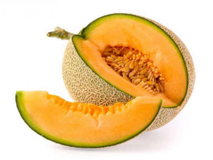 Agriculture is better than job; The income of two and a half million rupees | नोकरीपेक्षा शेती बरी; अडीच एकराच्या खरबुजातून साडेसहा लाखांचे उत्पन्न Agriculture is better than job; The income of two and a half million rupees | नोकरीपेक्षा शेती बरी; अडीच एकराच्या खरबुजातून साडेसहा लाखांचे उत्पन्न