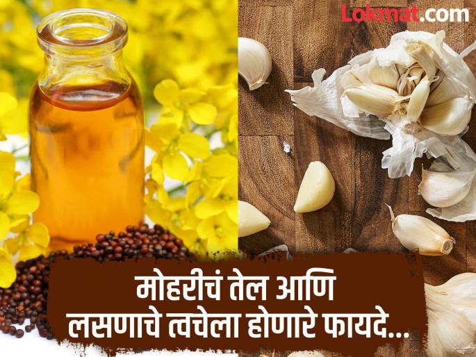 Garlic and mustard oil benefits, know how to apply it | मोहरीच्या तेलात लसूण मिक्स करून शरीरावर लावण्याने काय होतात फायदे? वाचून लगेच कराल उपाय! Garlic and mustard oil benefits, know how to apply it | मोहरीच्या तेलात लसूण मिक्स करून शरीरावर लावण्याने काय होतात फायदे? वाचून लगेच कराल उपाय!