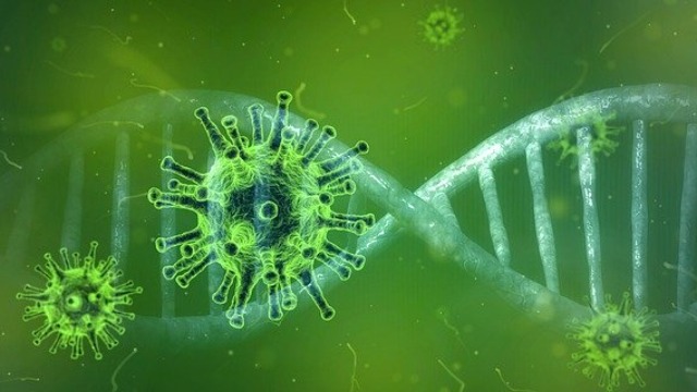 Genetic mutations in the corona virus in Yavatmal | यवतमाळातील कोरोना व्हायरसमध्ये जनुकीय बदल Genetic mutations in the corona virus in Yavatmal | यवतमाळातील कोरोना व्हायरसमध्ये जनुकीय बदल