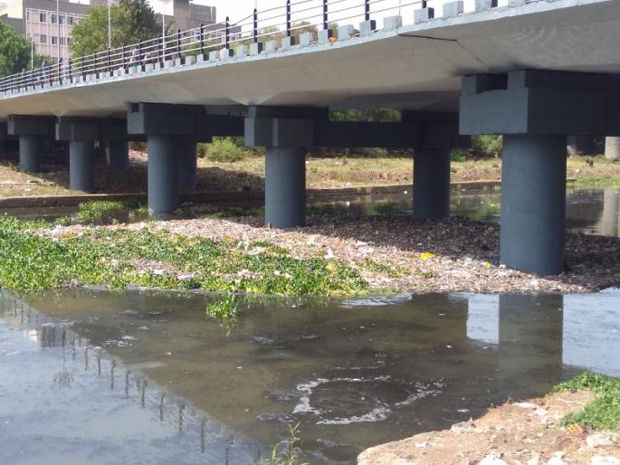 mutha rever became a dumping ground | मुठेचं पात्र की कचऱ्याचं बेट mutha rever became a dumping ground | मुठेचं पात्र की कचऱ्याचं बेट