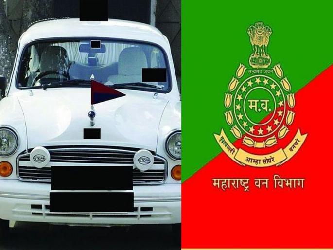 The state forest department now has an independent flag; Honored after Army, CBI, Police | राज्याच्या वनविभागाला आता स्वतंत्र ध्वज; सैन्यदल, सीबीआय, पोलिस यांच्यानंतर मिळाला बहुमान The state forest department now has an independent flag; Honored after Army, CBI, Police | राज्याच्या वनविभागाला आता स्वतंत्र ध्वज; सैन्यदल, सीबीआय, पोलिस यांच्यानंतर मिळाला बहुमान