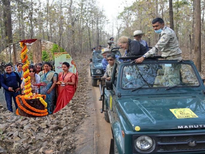 Pujan of Gudi by the guests of C-20, then enjoyed the safari at pench tiger reserve | ‘सी-२०’च्या पाहुण्यांकडून गुढीचे पूजन अन् नंतर घडले वाघोबांचे दर्शन Pujan of Gudi by the guests of C-20, then enjoyed the safari at pench tiger reserve | ‘सी-२०’च्या पाहुण्यांकडून गुढीचे पूजन अन् नंतर घडले वाघोबांचे दर्शन