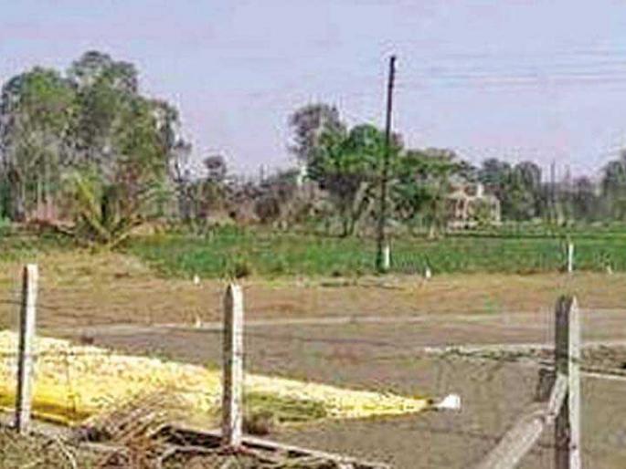 45 applications for land degradation: verification of documents | जमीन अकृषक करण्यासाठी ४५ अर्ज :  कागदपत्रांची पडताळणी 45 applications for land degradation: verification of documents | जमीन अकृषक करण्यासाठी ४५ अर्ज :  कागदपत्रांची पडताळणी