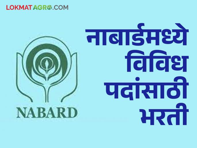 Latest news Know the details of recruitment for various posts in NABARD | Nabard Recruitment : नाबार्डमध्ये विविध पदांची भरती, पात्रतेपासून ते पगारापर्यंत जाणून घ्या सविस्तर!