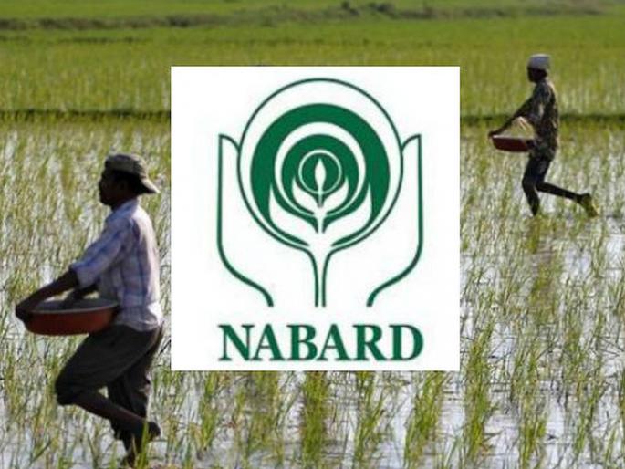 Farmers will get less crop loan now, 'NABARD' strict criteria: Share as much as benefit | शेतकऱ्यांना पीक कर्ज आता कमी मिळणार, ‘नाबार्ड’चे कडक निकष : जेवढा हिस्सा तेवढाच लाभ Farmers will get less crop loan now, 'NABARD' strict criteria: Share as much as benefit | शेतकऱ्यांना पीक कर्ज आता कमी मिळणार, ‘नाबार्ड’चे कडक निकष : जेवढा हिस्सा तेवढाच लाभ