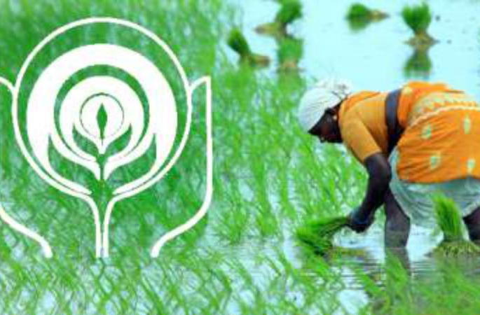 Jalajagruti campaign in 100 villages of Solapur district for saving water | पाण्याच्या बचतीसाठी सोलापूर जिल्ह्यातील १०० गावात ‘जलजागृती’ अभियान Jalajagruti campaign in 100 villages of Solapur district for saving water | पाण्याच्या बचतीसाठी सोलापूर जिल्ह्यातील १०० गावात ‘जलजागृती’ अभियान