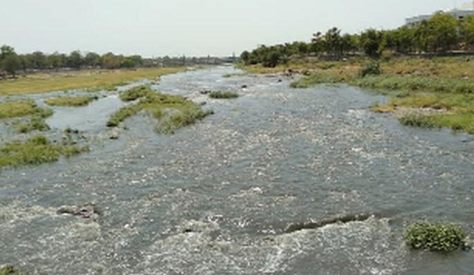 In the summer, the river Panjra became flowing | भर उन्हाळ्यात पांझरा नदी झाली प्रवाही In the summer, the river Panjra became flowing | भर उन्हाळ्यात पांझरा नदी झाली प्रवाही