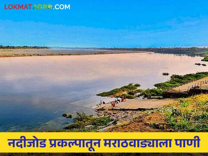 Marathawada Water Issue: Will Marathwada get water from the Wainganga, Nalganga river connection project? | Marathawada Water Issue : वैनगंगा, नळगंगा नदीजोड प्रकल्पातून तरी मराठवाड्याला मिळेल का पाणी? Marathawada Water Issue: Will Marathwada get water from the Wainganga, Nalganga river connection project? | Marathawada Water Issue : वैनगंगा, नळगंगा नदीजोड प्रकल्पातून तरी मराठवाड्याला मिळेल का पाणी?