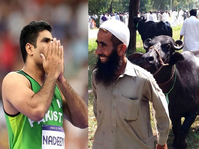 Son-in-law wins gold medal, father-in-law is happy; Arshad nadeem will get gift a buffalo from him | जावयाने गोल्ड मेडल जिंकले, सासरा खुश झाला; अर्शद नदीमला म्हैस गिफ्ट करणार Son-in-law wins gold medal, father-in-law is happy; Arshad nadeem will get gift a buffalo from him | जावयाने गोल्ड मेडल जिंकले, सासरा खुश झाला; अर्शद नदीमला म्हैस गिफ्ट करणार