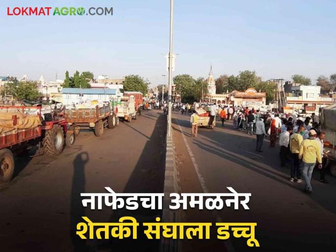 Agriculture News : Erandol Farmers Union will buy NAFED instead of Amalner, know in detail  | Agriculture News : नाफेड खरेदी अमळनेरऐवजी एरंडोल शेतकी संघ करणार, जाणून घ्या सविस्तर  Agriculture News : Erandol Farmers Union will buy NAFED instead of Amalner, know in detail  | Agriculture News : नाफेड खरेदी अमळनेरऐवजी एरंडोल शेतकी संघ करणार, जाणून घ्या सविस्तर