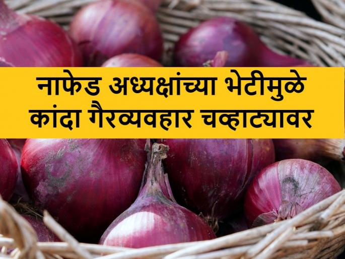 Nafed Onion: Inspection of onion buying centers by NAFED chairman; Many defects were found | Nafed Onion: ‘नाफेड’च्या अध्यक्षांकडून कांदा खरेदी केंद्रांवर अचानक पाहणी; अनेक दोष आढळले Nafed Onion: Inspection of onion buying centers by NAFED chairman; Many defects were found | Nafed Onion: ‘नाफेड’च्या अध्यक्षांकडून कांदा खरेदी केंद्रांवर अचानक पाहणी; अनेक दोष आढळले