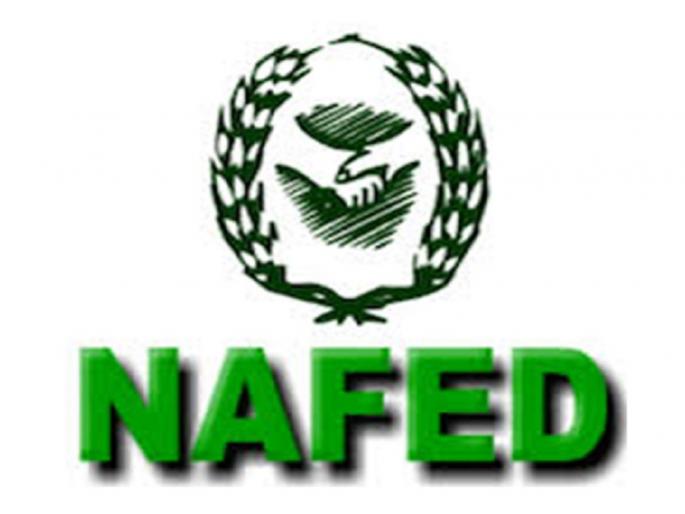 Nafed refuses to buy tur on time; One-and-a-half crores loss of farmers | ऐनवेळी नाफेडचा तूर खरेदीस नकार; शेतकऱ्यांना बसणार दीड कोटीचा फटका Nafed refuses to buy tur on time; One-and-a-half crores loss of farmers | ऐनवेळी नाफेडचा तूर खरेदीस नकार; शेतकऱ्यांना बसणार दीड कोटीचा फटका