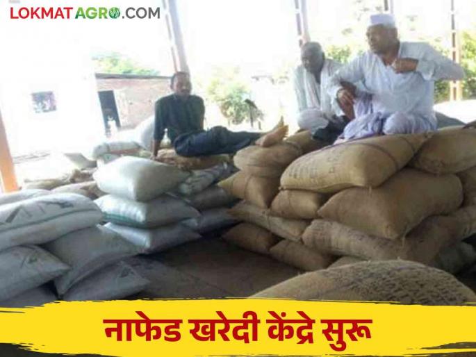 NAFED : NAFED center Started center operators waiting for Farmers | NAFED : नाफेड केंद्रात वजनकाट्याला सुरूवात; केंद्र चालकांना शेतकऱ्यांची प्रतीक्षा!