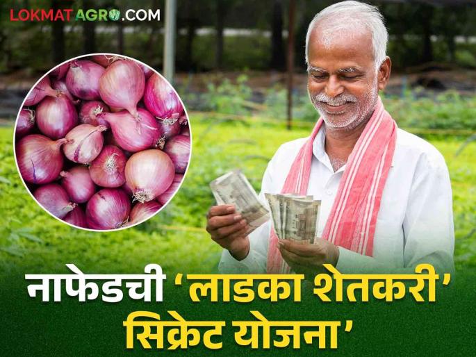 Nafed Onion Scam: Nafed's secrete 'Ladka Shetkari Yojana' has brought Fortuner cars to the door | Nafed Onion Scam: नाफेडच्या ‘लाडक्या शेतकरी योजने’मुळे दारात आली फॉर्चुनर गाडी