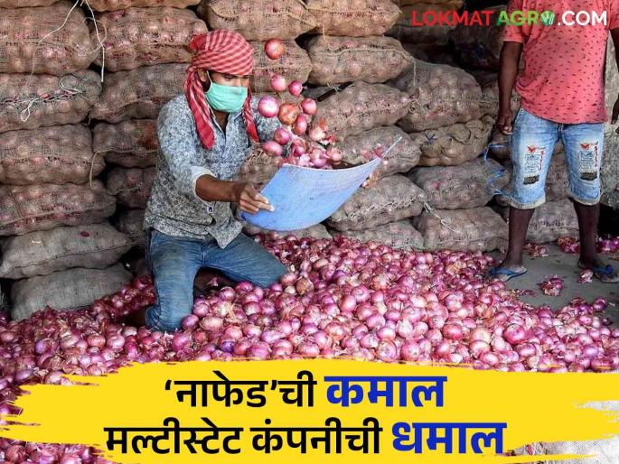 Nafed Onion Scam: What is the connection of UP's Multistate Society's with 'Nafed' Onion Purchases? | Nafed Onion Scam: ‘नाफेड’ कांदा खरेदीत युपीच्या मल्टीस्टेट सोसायटीचे काय आहे गौडबंगाल? Nafed Onion Scam: What is the connection of UP's Multistate Society's with 'Nafed' Onion Purchases? | Nafed Onion Scam: ‘नाफेड’ कांदा खरेदीत युपीच्या मल्टीस्टेट सोसायटीचे काय आहे गौडबंगाल?
