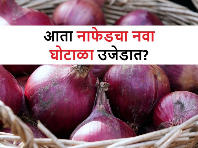 Nafed's new scam? Onion purchase through rejected FPOs, who are these companies | Nafed Scam: नाफेडचा नवा घोटाळा? नाकारलेल्या एफपीओं मार्फत कांदा खरेदी, कोण आहेत या कंपन्या Nafed's new scam? Onion purchase through rejected FPOs, who are these companies | Nafed Scam: नाफेडचा नवा घोटाळा? नाकारलेल्या एफपीओं मार्फत कांदा खरेदी, कोण आहेत या कंपन्या