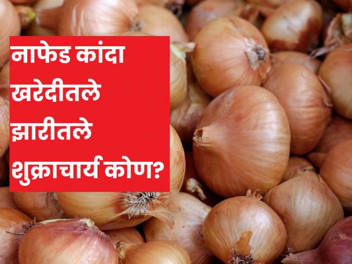 How does Nafed decide onion market price? | नाफेडचा कांदा बाजारभाव कसा ठरतो? खरंच कांदा निर्यात शुल्काचा फायदा झाला का? How does Nafed decide onion market price? | नाफेडचा कांदा बाजारभाव कसा ठरतो? खरंच कांदा निर्यात शुल्काचा फायदा झाला का?