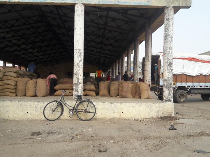 Market Committee, merchants grains pick up | वाशिम कृषी उत्पन्न बाजार समितीमध्ये नाफेडसह, व्यापाऱ्यांच्या मालाची उचल 