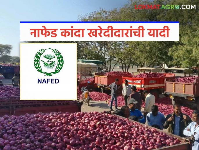 Latest Ndews Nafed Kanda Kharedi Viral list of Nafed onion buyers has surfaced, see total list | Nafed Kanda Kharedi : नाफेड कांदा खरेदीदारांची व्हायरल यादी आली, पहा यादीत कुणाकुणाची नावं? Latest Ndews Nafed Kanda Kharedi Viral list of Nafed onion buyers has surfaced, see total list | Nafed Kanda Kharedi : नाफेड कांदा खरेदीदारांची व्हायरल यादी आली, पहा यादीत कुणाकुणाची नावं?