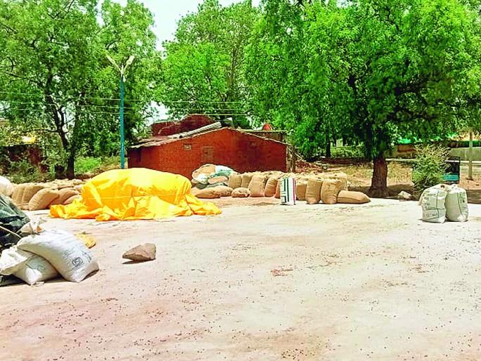 Nafed gram purchase case : 300 chickpea bags are missing from Bhiwapur Agricultural Produce Market Committee | बाजार समितीतून हरभऱ्याचे चक्क ३०० कट्टे गायब; प्रकरण दडपण्याचा प्रयत्न, विश्वासार्हतेवर प्रश्नचिन्ह Nafed gram purchase case : 300 chickpea bags are missing from Bhiwapur Agricultural Produce Market Committee | बाजार समितीतून हरभऱ्याचे चक्क ३०० कट्टे गायब; प्रकरण दडपण्याचा प्रयत्न, विश्वासार्हतेवर प्रश्नचिन्ह