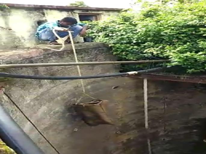 Due to the extinction of the forgotten snake | विहीरीतील सापाला दिले जीवदान Due to the extinction of the forgotten snake | विहीरीतील सापाला दिले जीवदान