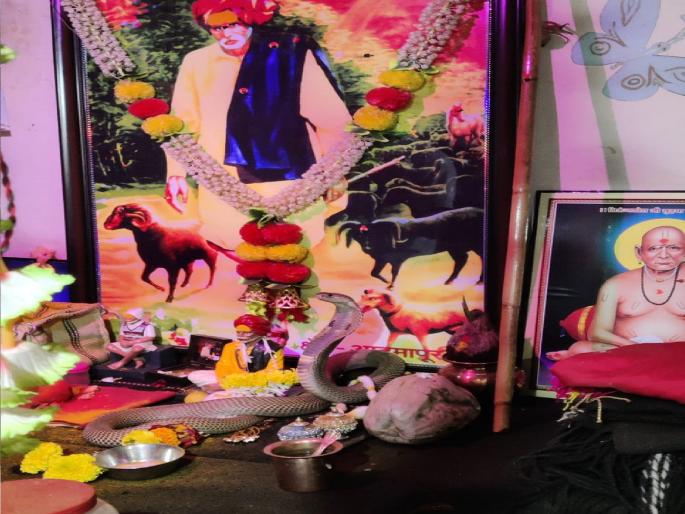 Living snake worship at Balumama temple in Dhavali, Sangli district, priest with snake in custody | Sangli: बाळूमामा मंदिरात जिवंत नागाची पूजा, नागासह पुजारी ताब्यात Living snake worship at Balumama temple in Dhavali, Sangli district, priest with snake in custody | Sangli: बाळूमामा मंदिरात जिवंत नागाची पूजा, नागासह पुजारी ताब्यात