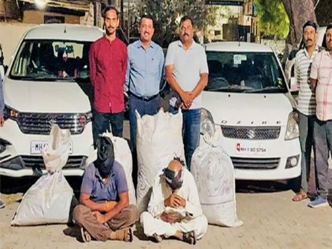 Police raided an animal shelter and seized two bags of marijuana worth Rs 30 lakh on Wednesday | मध्य प्रदेशातून महाराष्ट्रात आणला लाखो रुपयांचा गांजा, गोठ्यात लपवला; पण पोलिसांनी दणका दिलाच!  Police raided an animal shelter and seized two bags of marijuana worth Rs 30 lakh on Wednesday | मध्य प्रदेशातून महाराष्ट्रात आणला लाखो रुपयांचा गांजा, गोठ्यात लपवला; पण पोलिसांनी दणका दिलाच!
