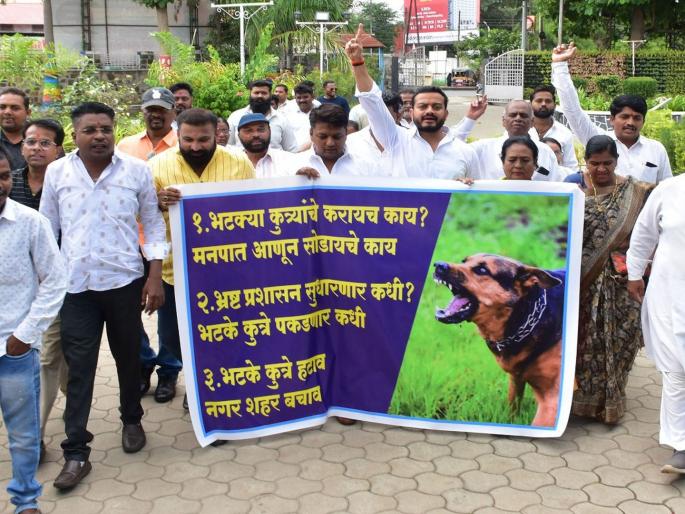 Make arrangements otherwise stray dogs will be left in the municipality; A warning from disgruntled citizens  | बंदोबस्त करा अन्यथा महापालिकेत भटके कुत्रे सोडणार; वैतागलेल्या नगरकरांचा इशारा  Make arrangements otherwise stray dogs will be left in the municipality; A warning from disgruntled citizens  | बंदोबस्त करा अन्यथा महापालिकेत भटके कुत्रे सोडणार; वैतागलेल्या नगरकरांचा इशारा