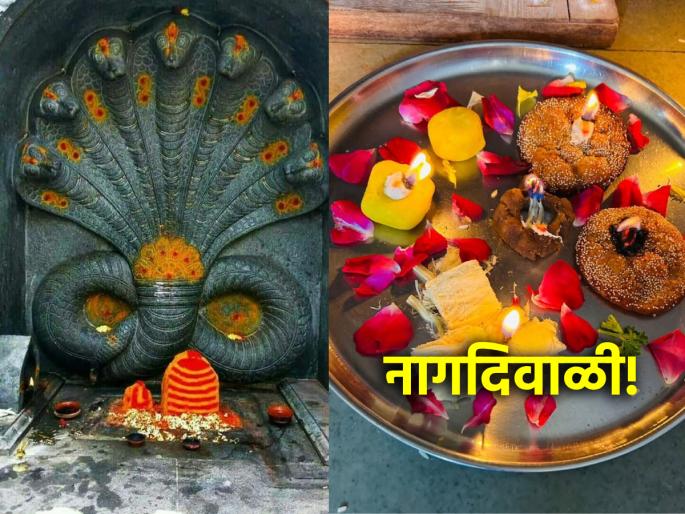 Nag Diwali 2024: Today is Nag Diwali; How to celebrate it? What is a special menu? Read on! | Nag Diwali 2024: आज आहे नागदिवाळी; ती कशी करायची साजरी? काय असतो विशेष नैवेद्य? वाचा! Nag Diwali 2024: Today is Nag Diwali; How to celebrate it? What is a special menu? Read on! | Nag Diwali 2024: आज आहे नागदिवाळी; ती कशी करायची साजरी? काय असतो विशेष नैवेद्य? वाचा!
